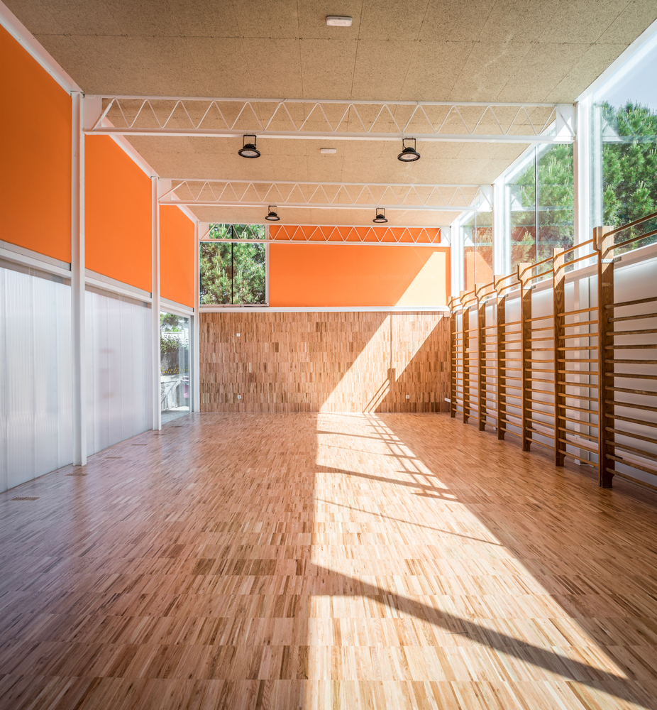 西班牙NuestraSeñorade Lourdes学校体育馆-9