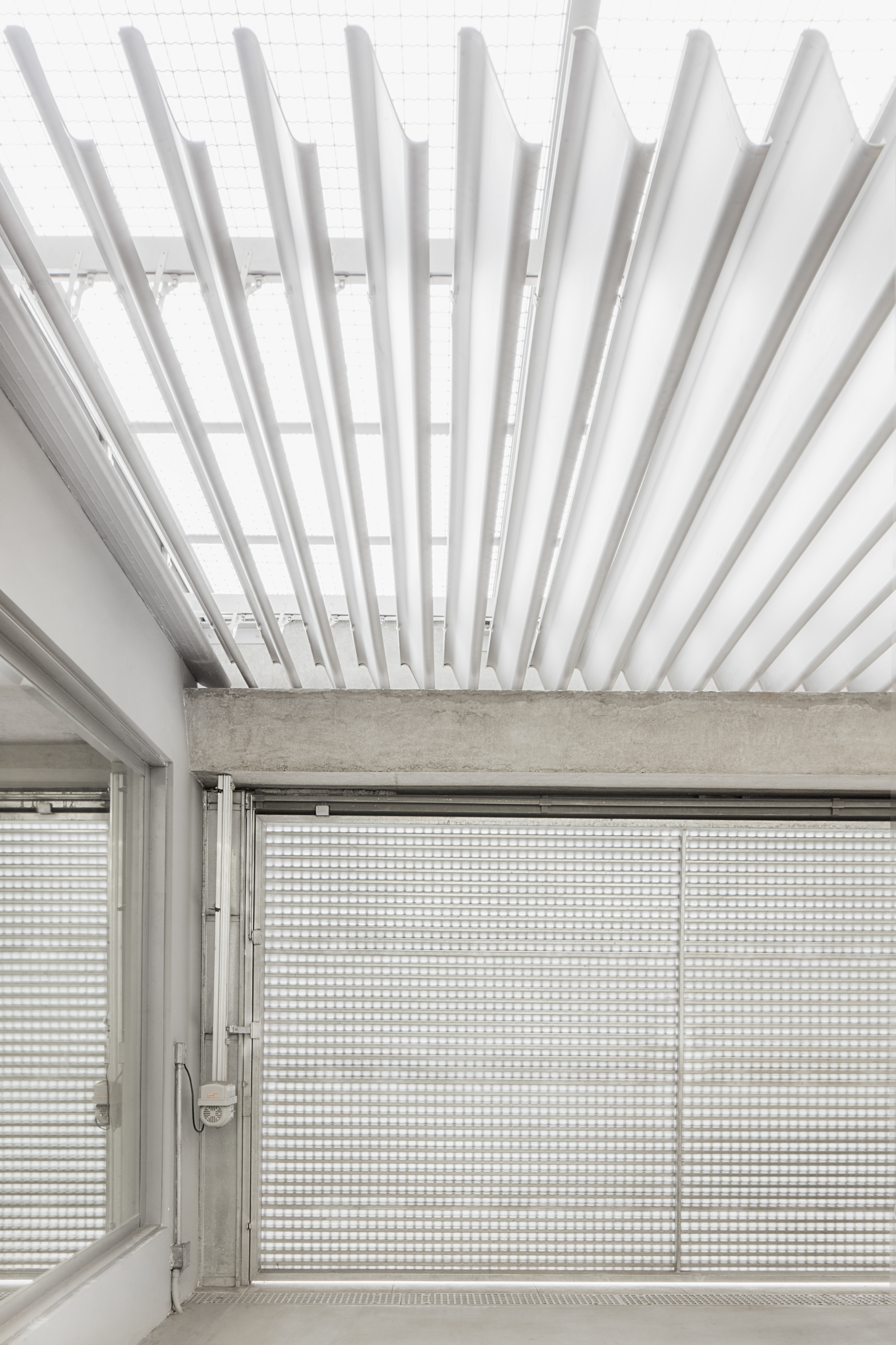 Workshop House  / PAX.ARQ-36