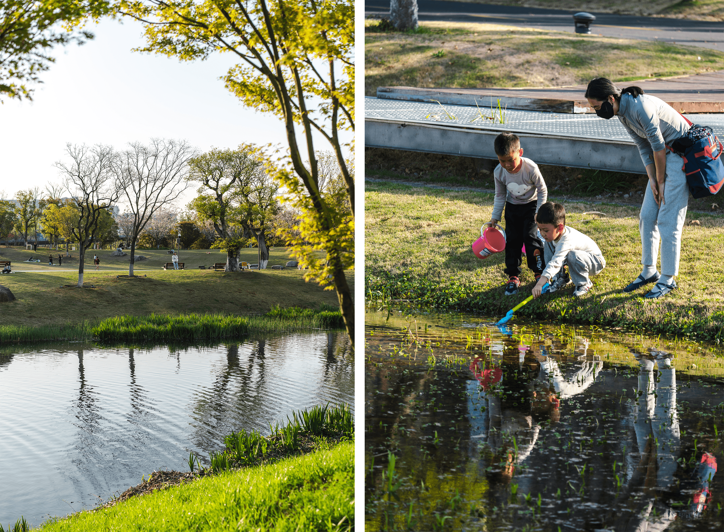 运河亚运公园 (拱墅区运河体育公园)丨中国杭州丨景观概念AECOM,景观深化杭州园林设计院等多家-63
