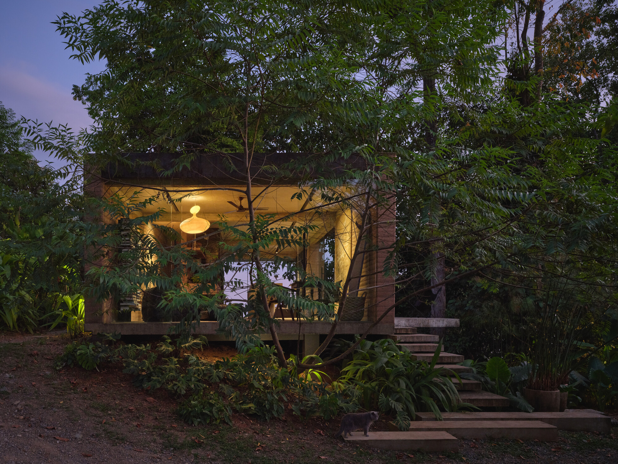 丨哥斯达黎加丨Formafatal-59