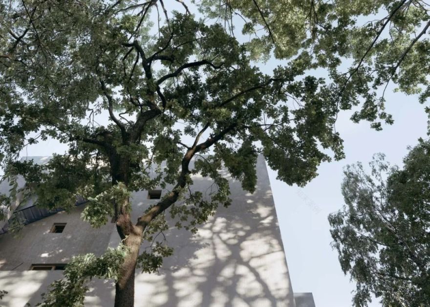 60 年代老宅重生 | 能源升级、结构改造与功能拓展-29