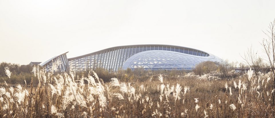 黑瞎子岛北大荒现代生态园-15