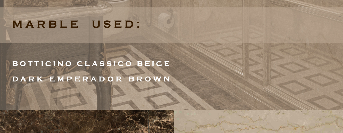 Classic luxury Guest Toilet-5