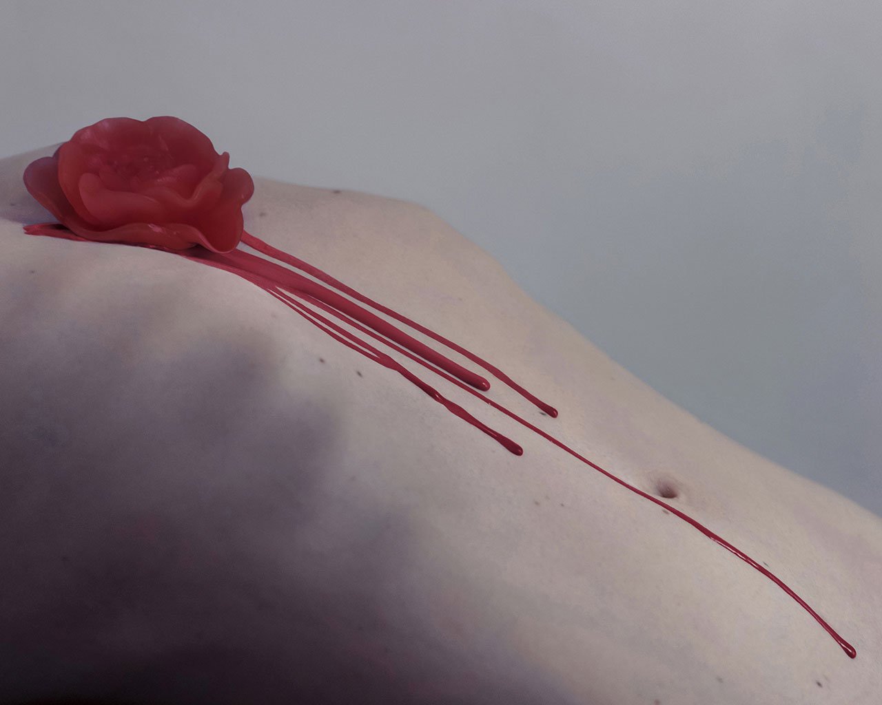 梦幻般的花语 | 摄影师 Brooke DiDonato 的家与创作-25