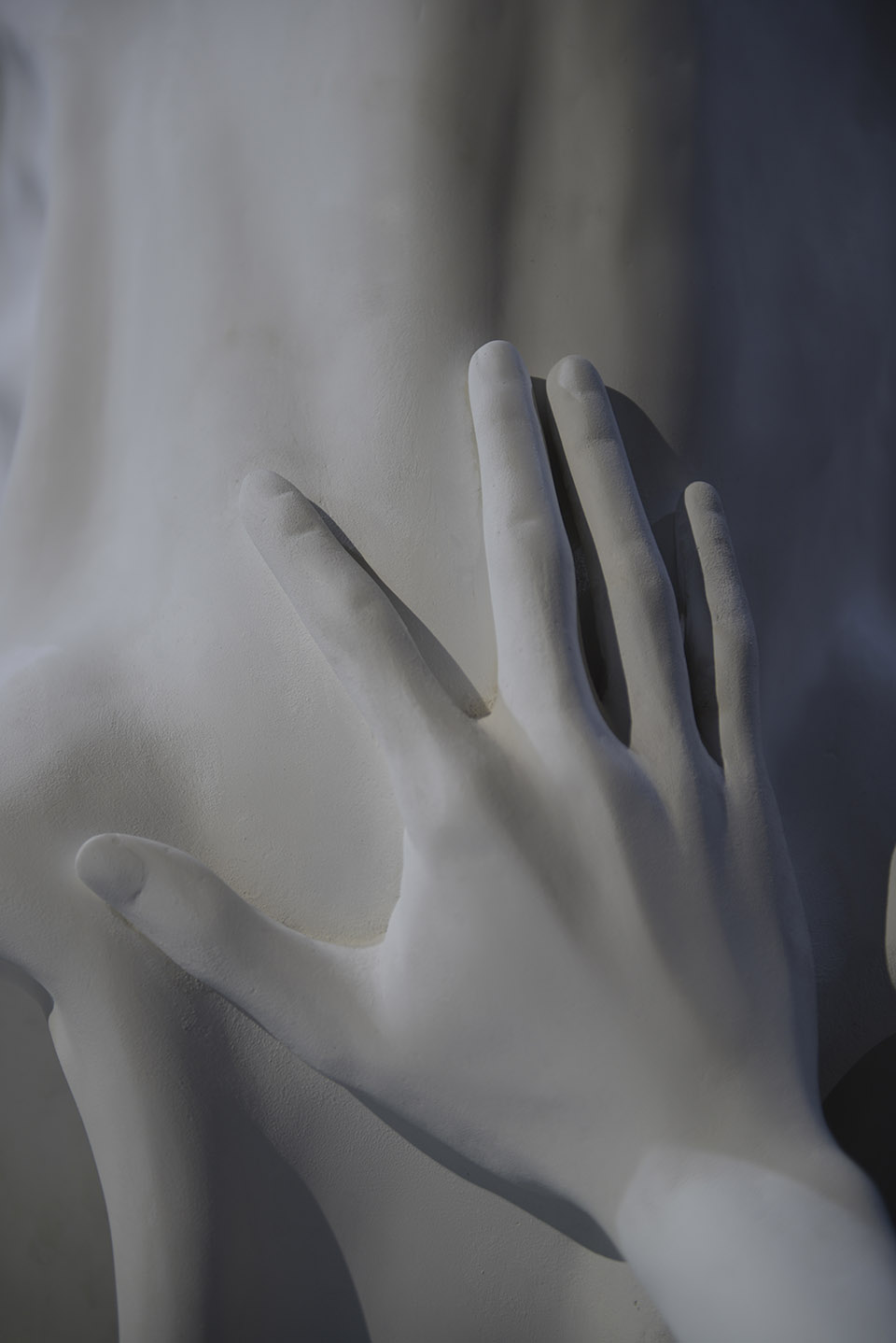 问题之马 / Claudia Fontes-11