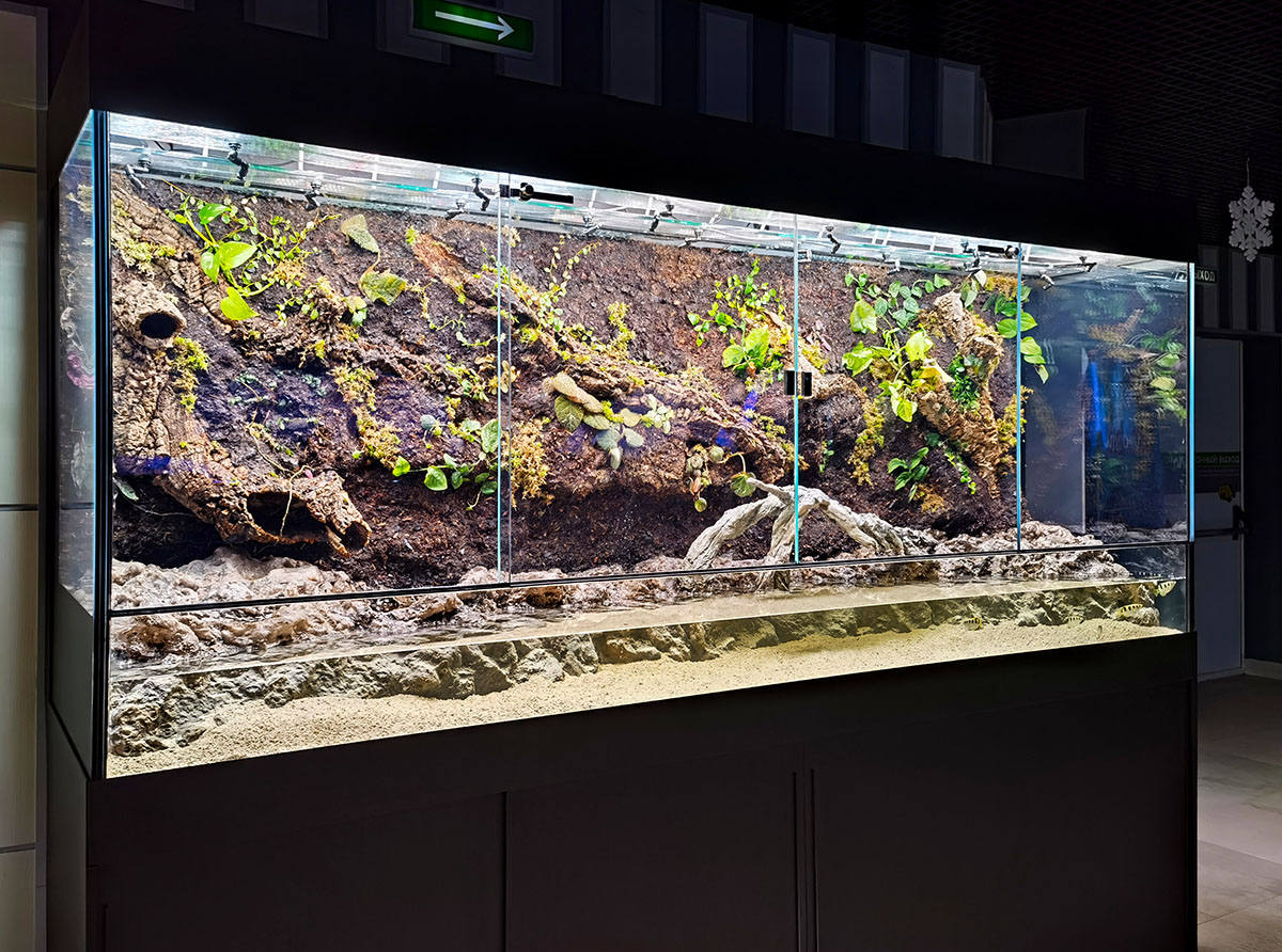 “Литораль”（“海岸带”）水族箱水陆箱丨俄罗斯丨Аква Лого Инжиниринг-42