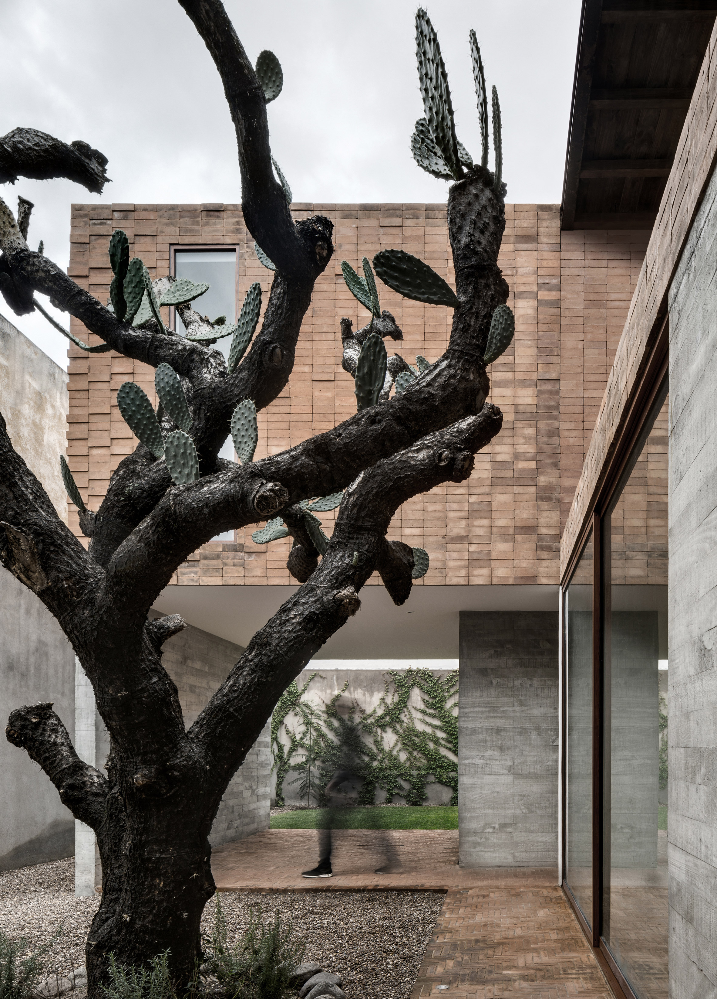 Clay brick and concrete Mexican house is set around a cactus tree-4