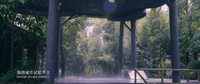 成都文旅集团旗下锦江公园斩获国际大奖-36