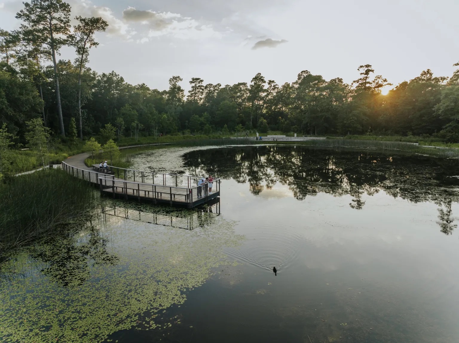 美国休斯顿纪念公园丨Nelson Byrd Woltz 景观设计事务所-39