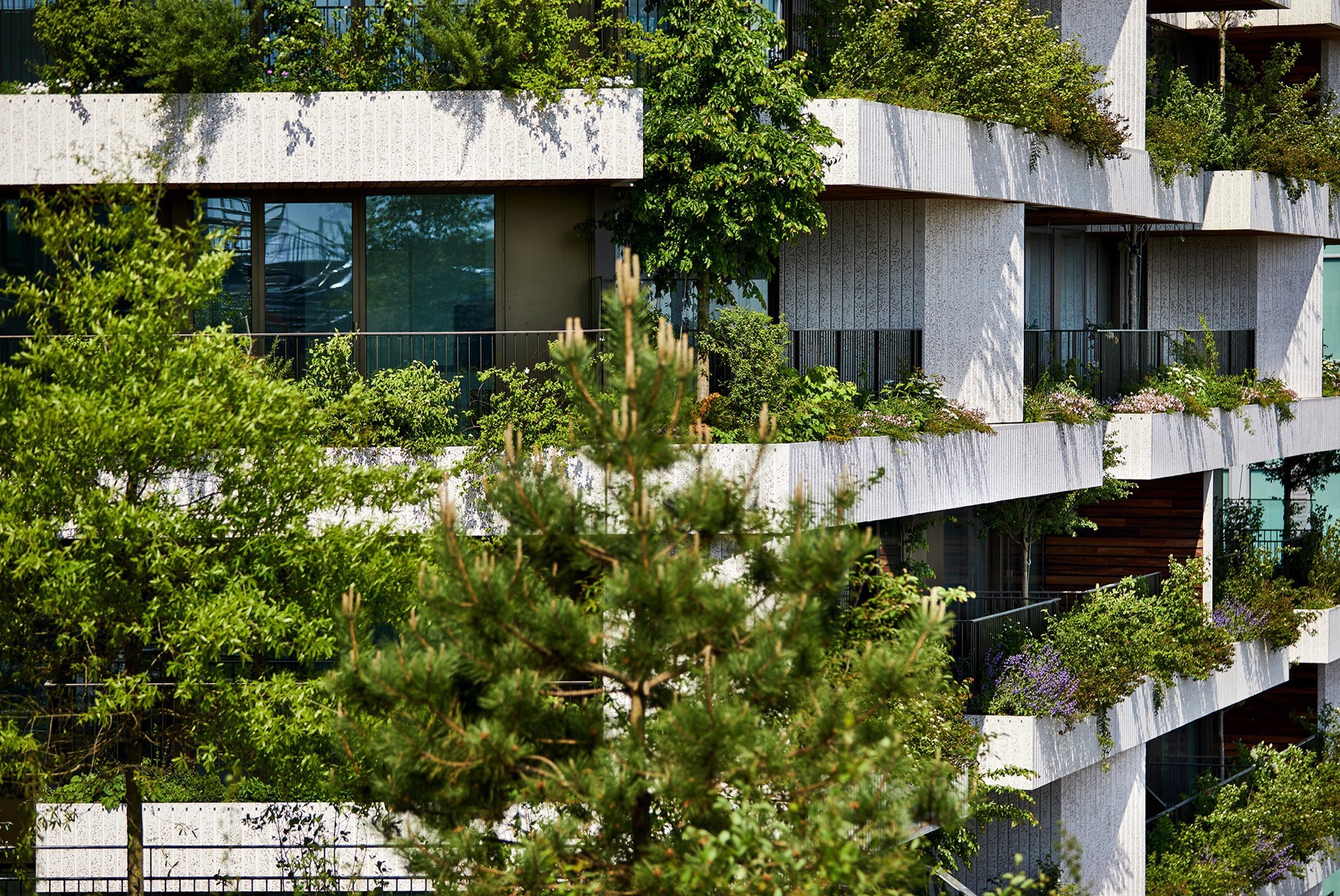 Wonderwoods垂直森林丨荷兰丨Stefano Boeri Architetti,MVSA-23