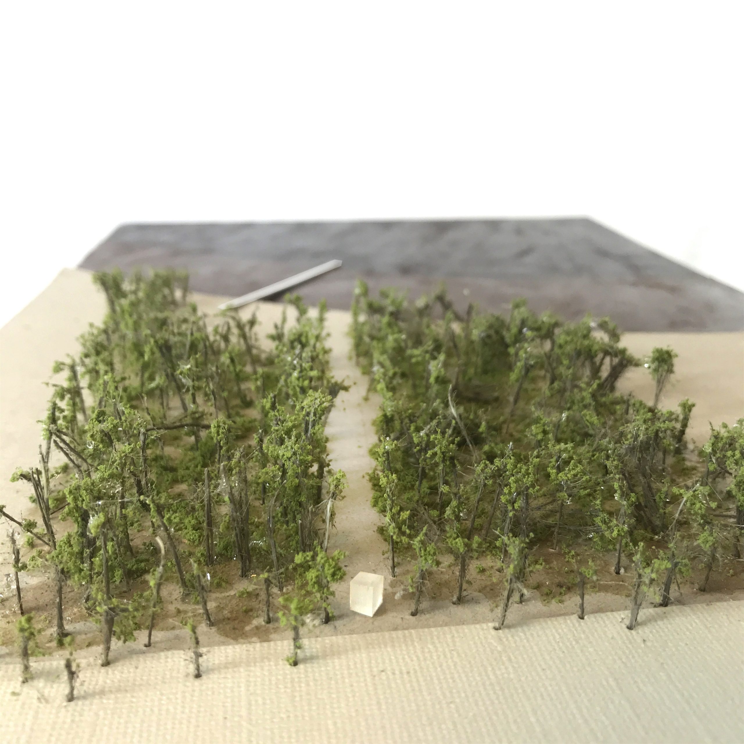 Sundshopen挪威风景线丨Rever & Drage-49