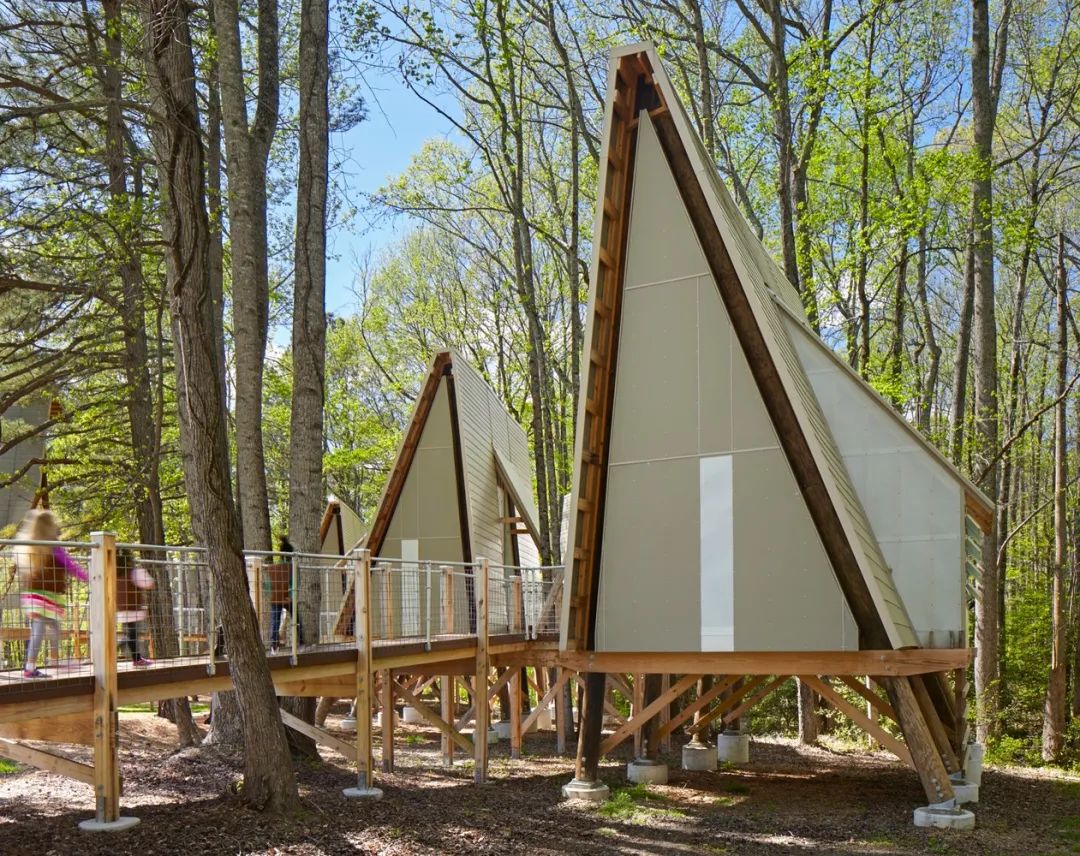 格雷厄姆营地 | 树屋冒险，自然与设计的完美融合-26