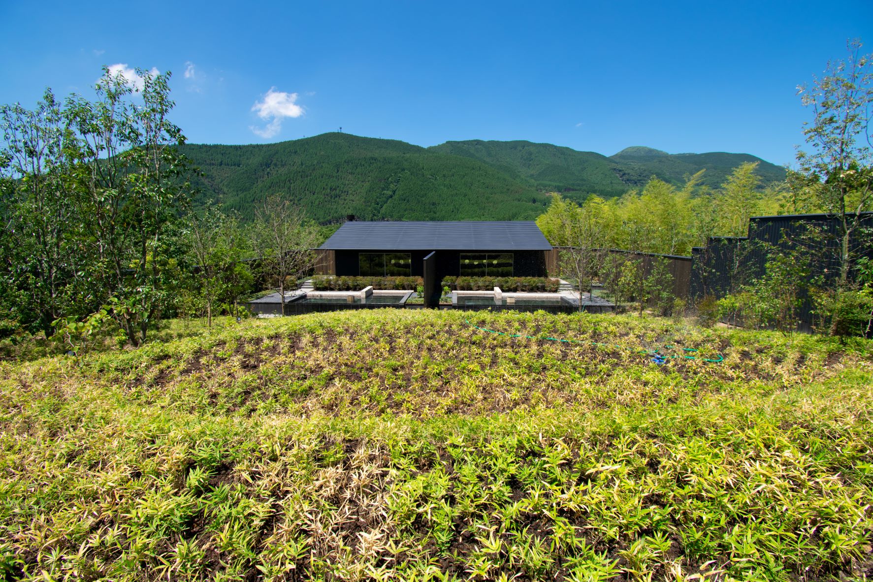 日本界·由布院温泉丨隈研吾建筑都市设计事务所-141