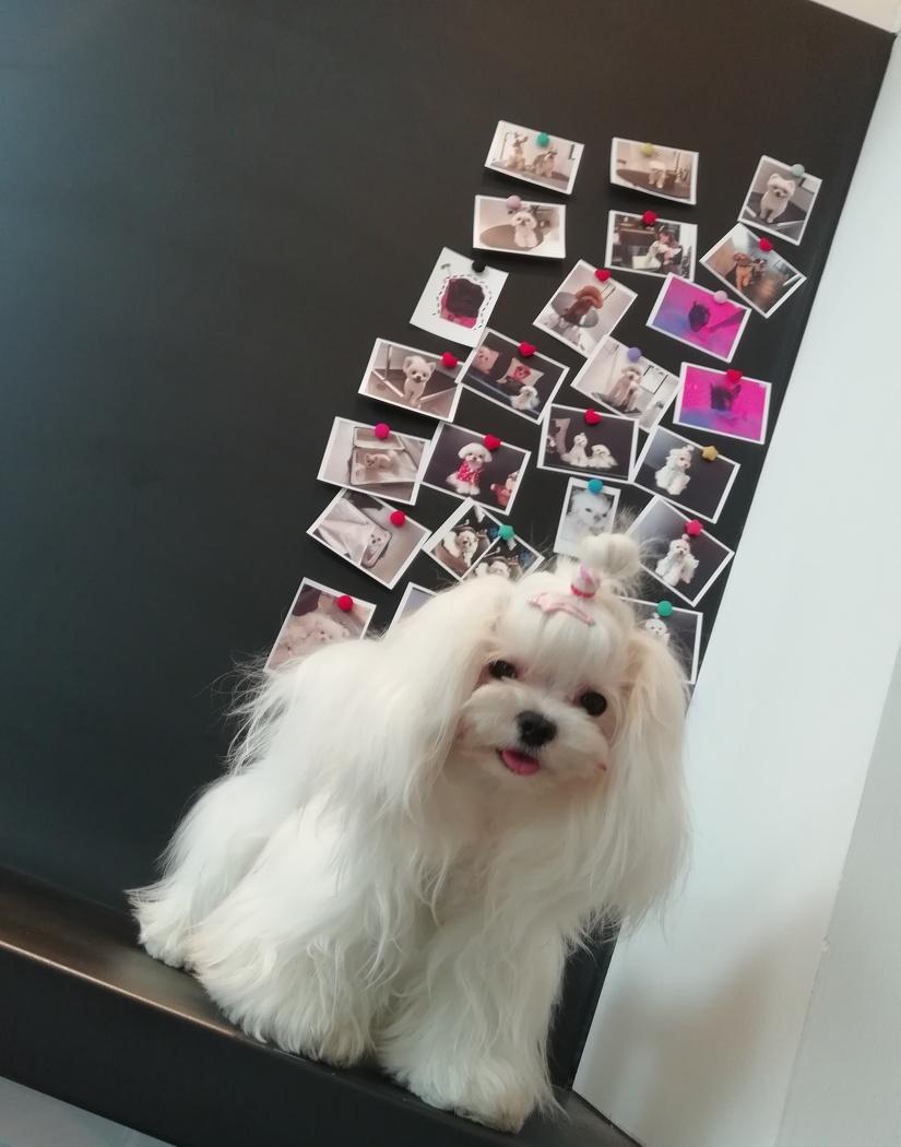 栖息·PERBARBAR MDE 空间设计-14