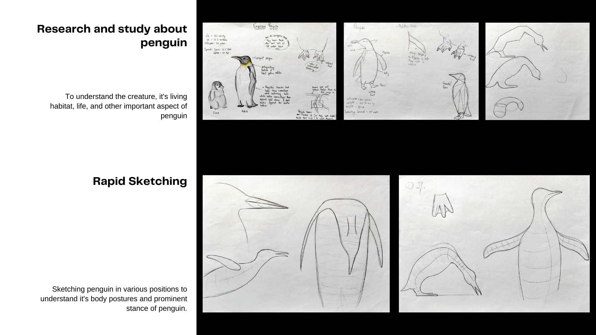 企鹅（花瓶）自然与形式丨Rahul Ashok Barve-13