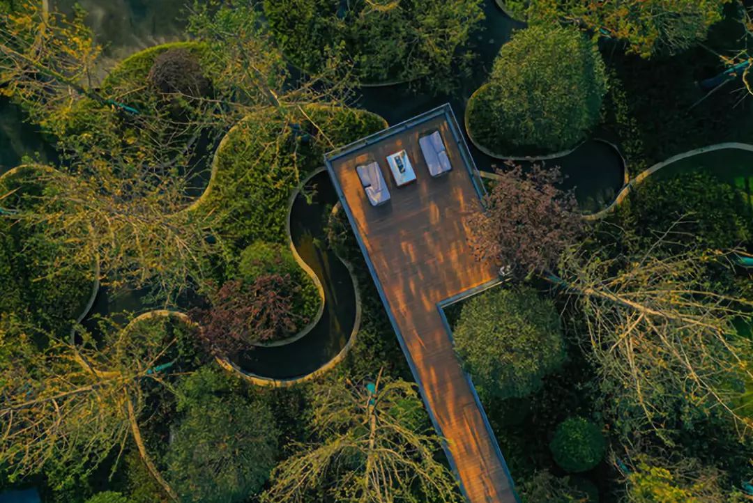 阳光城蚌埠麓山悦 | 山水诗意与现代人居的完美融合-18