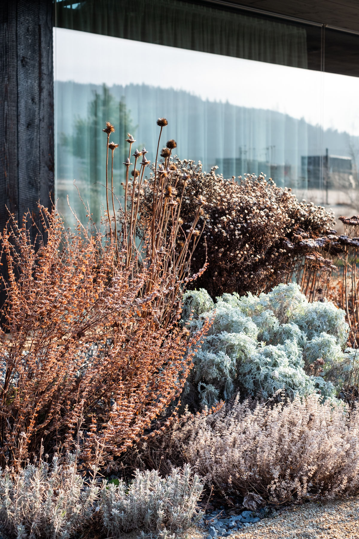 卡米克水库旁家庭住宅花园设计丨捷克-90