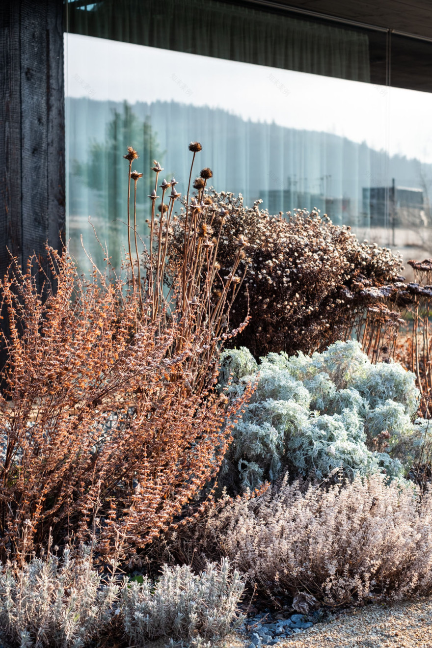 卡米克水库旁家庭住宅花园设计丨捷克-90