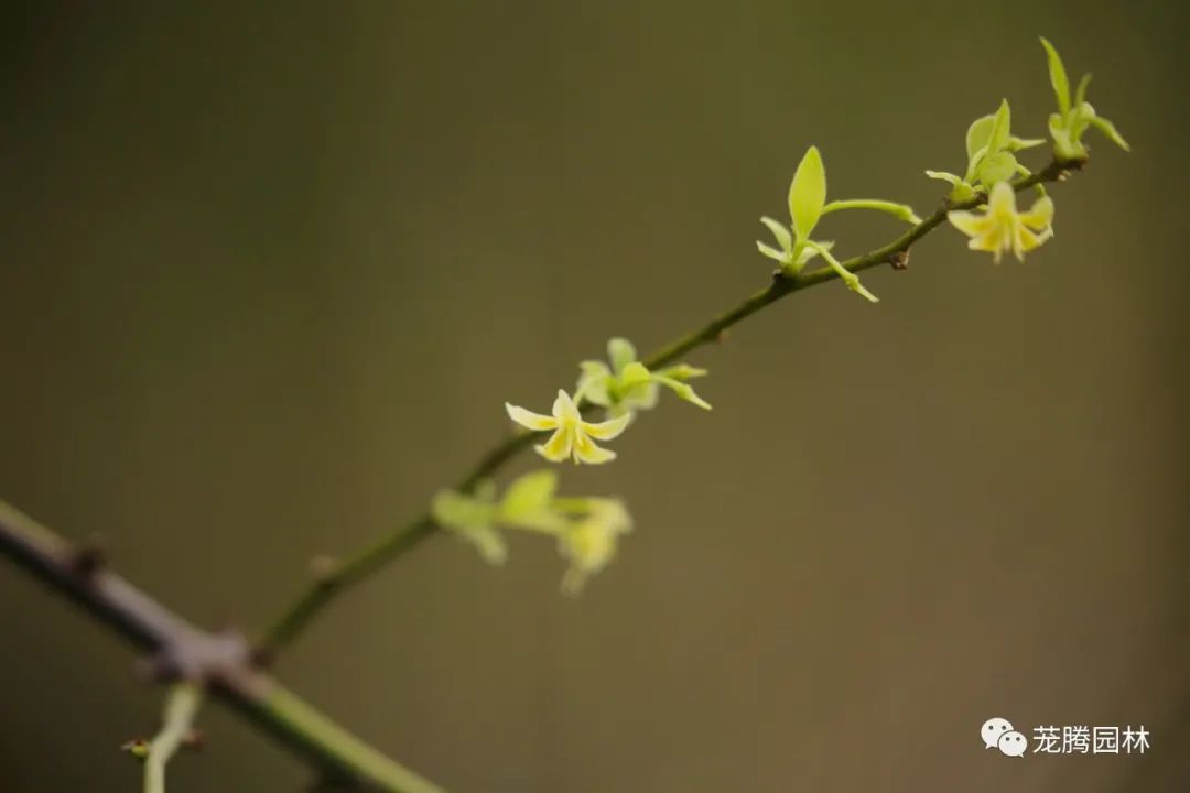 行走的茏腾人 | 深秋韶关的自然之美-38