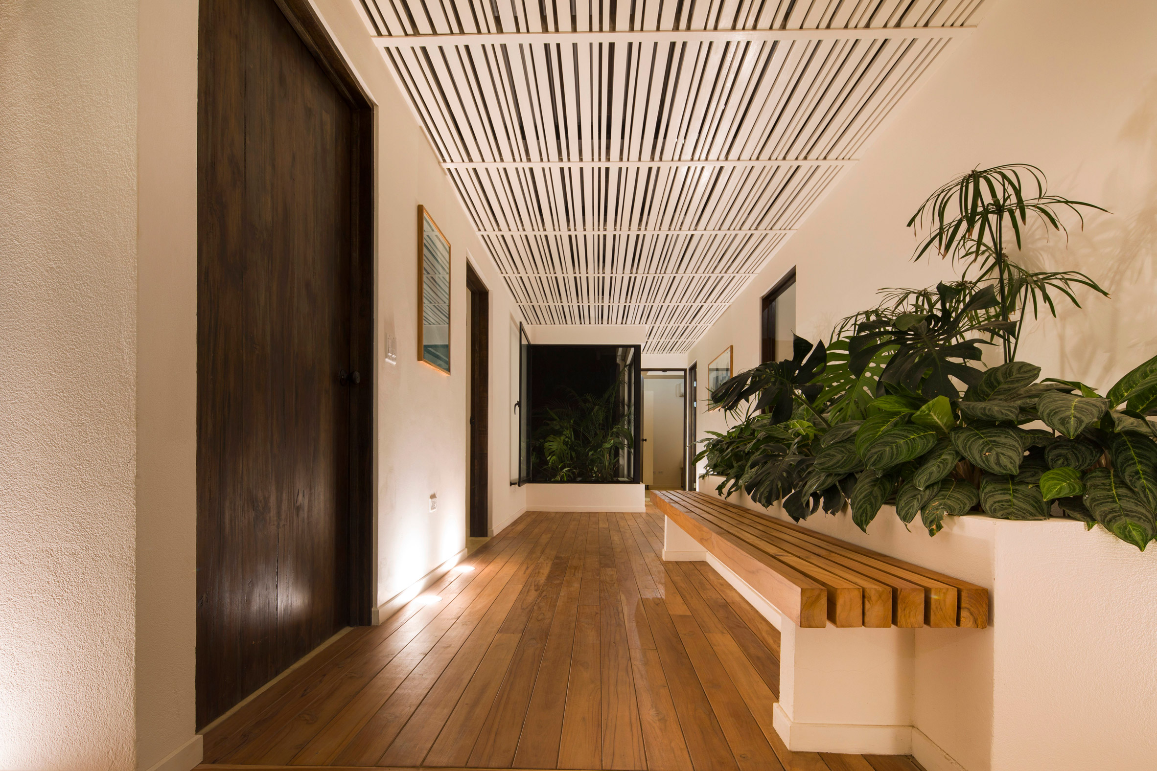 Studio Saxe surrounds Costa Rican yoga retreat with jungle planting-20