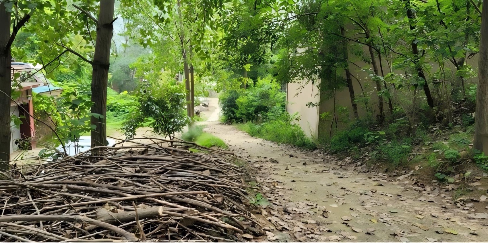 卢塘村党群服务中心·李口渔灯,水畔客厅丨中国宿迁丨江苏省建筑设计研究院股份有限公司-16