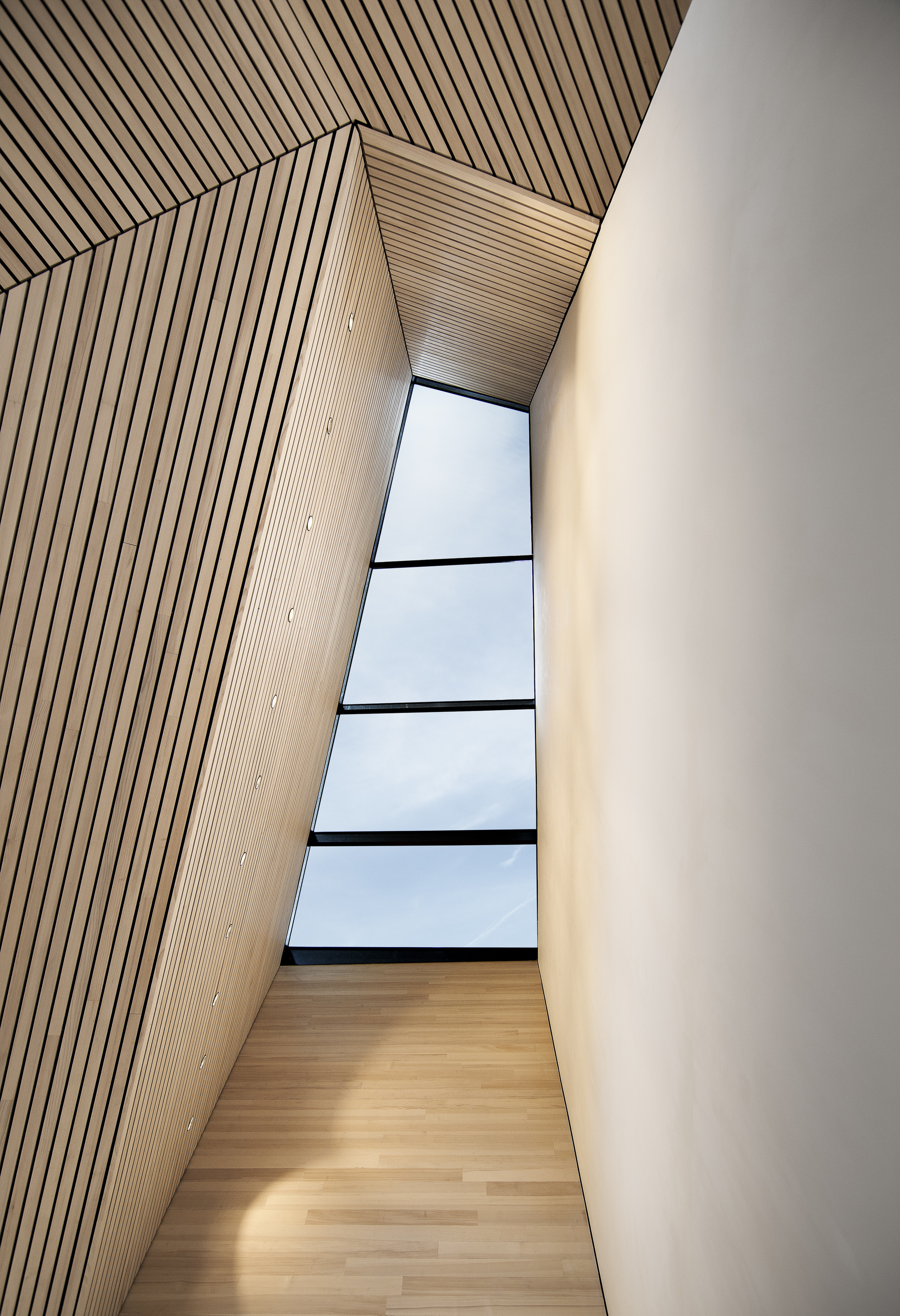 彼得霍夫阿尔卑斯山皮毛酒店丨Austria丨Baumschlager Eberle Architekten-43