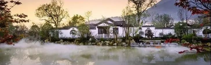 阳明古镇府前路核心段开街,演绎千年文化颂歌-41