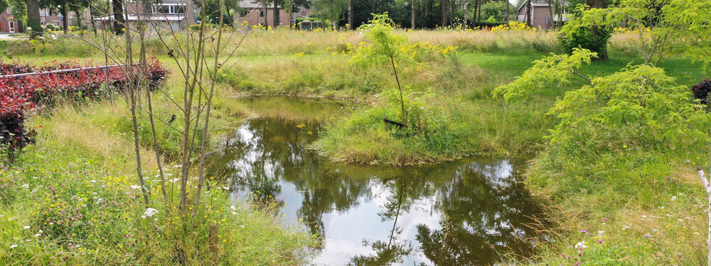 Uden's College - Grasveld Tuin- en Landschapsarchitecten-25
