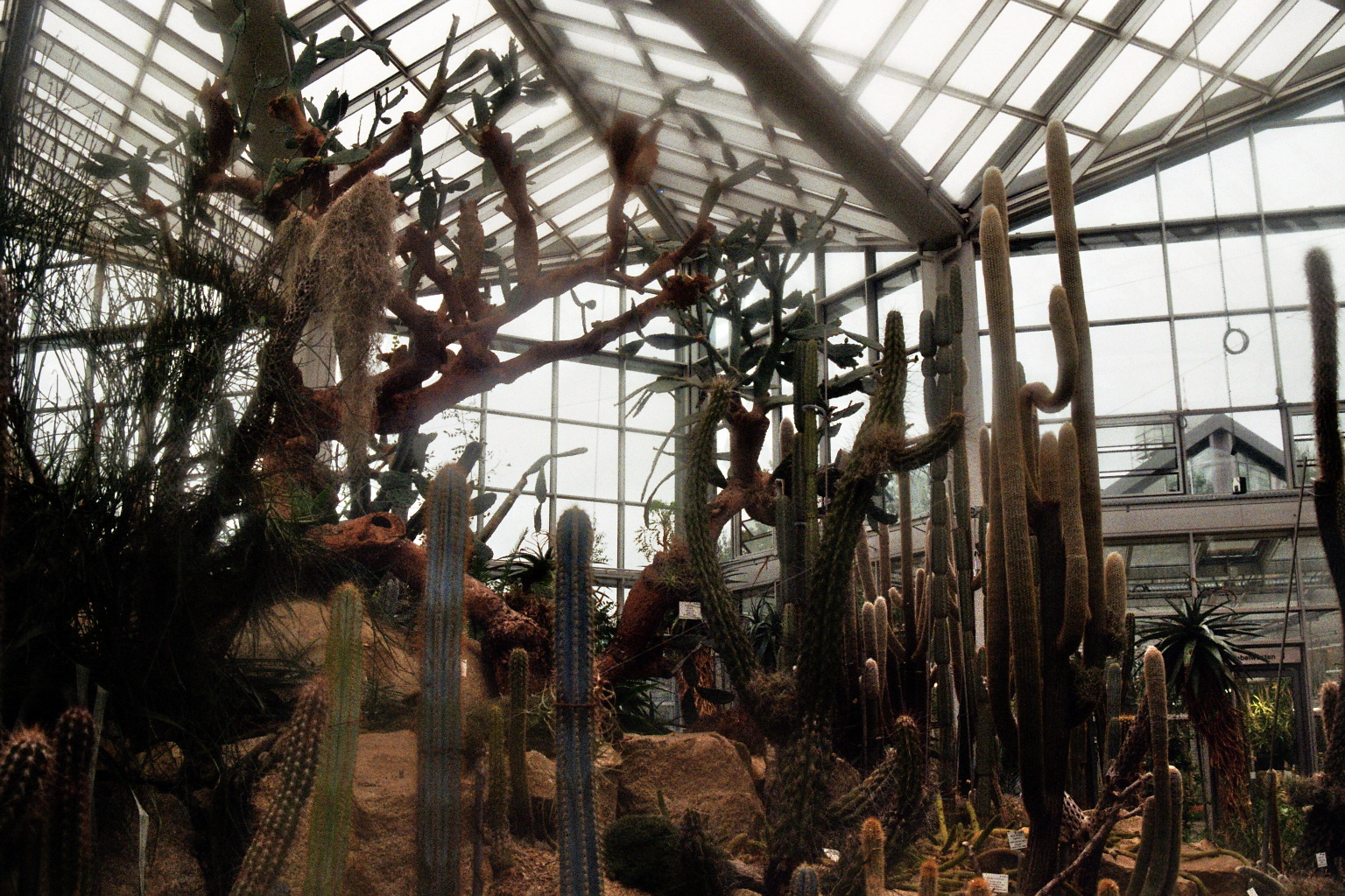 Botanical Gardens on film: A Therapy-9