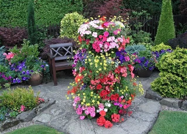 7旬夫妻用24年建绝美花园 全球花友慕名来“探花”-27