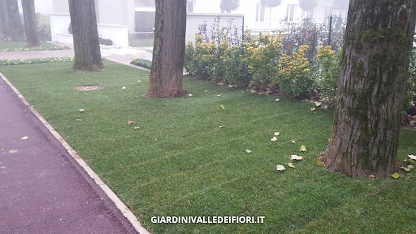 格林公园  老年人住宅花园（注：RSA在意大利语里常指Residenza per Anziani即老年人住宅，Giardino RSA可理解为与之相关的花园，但这里推测信息可能不太完整准确） 丨Giardini Valle dei Fiori的绿植专家团队-9