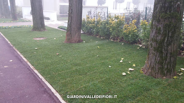 格林公园 老年人住宅花园(注:RSA在意大利语里常指Residenza per Anziani即老年人住宅,Giardino RSA可理解为与之相关的花园,但这里推测信息可能不太完整准确) 丨Giardini Valle dei Fiori的绿植专家团队-9