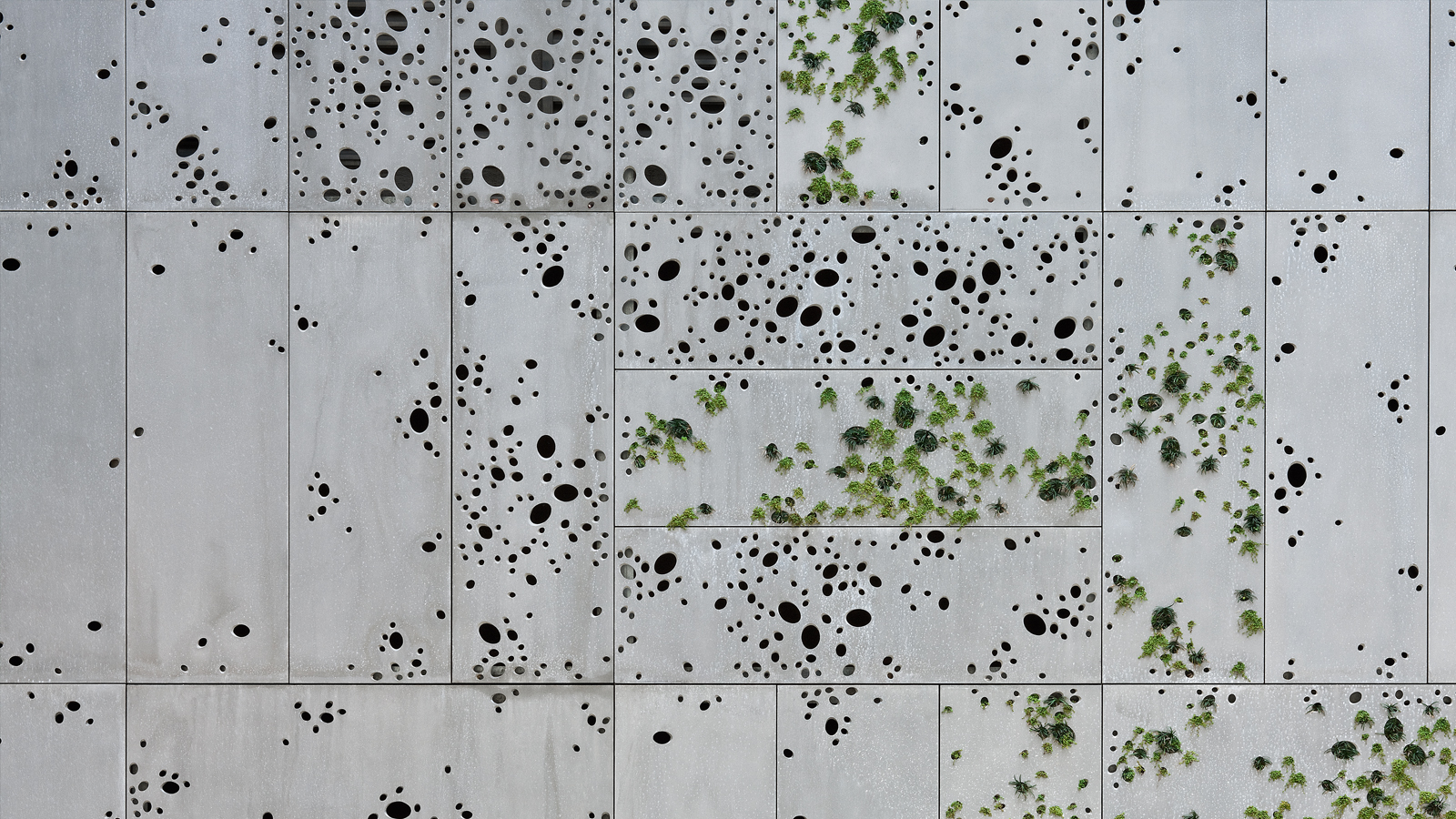 边城博物馆 | 自然与城市的边界交融-0