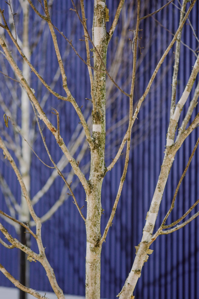 04 01 VIBIA[2017米兰展]-47