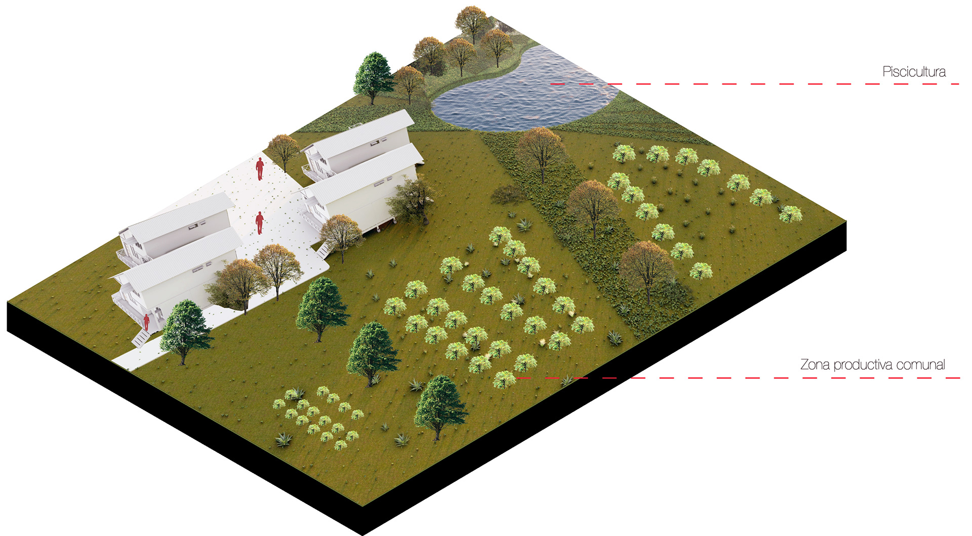 农村可持续社会住房原型设计竞赛丨哥伦比亚考卡-25