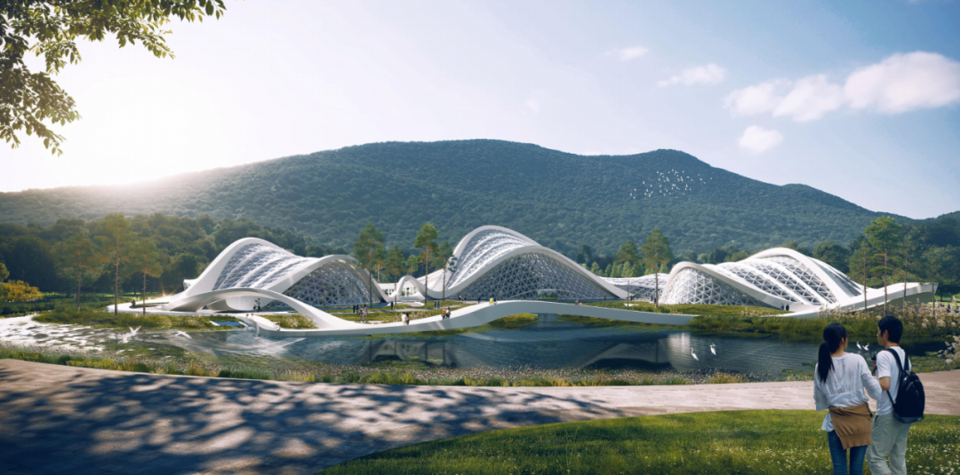 集团要闻丨庐山国家植物园建设项目获业主方高度赞扬-41