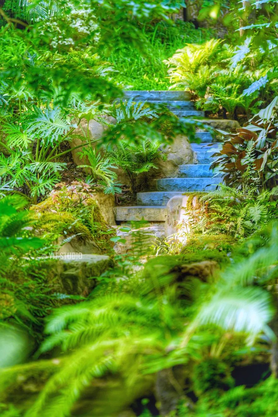 广州云萝植物园丨中国广州丨广州普邦园林股份有限公司-16