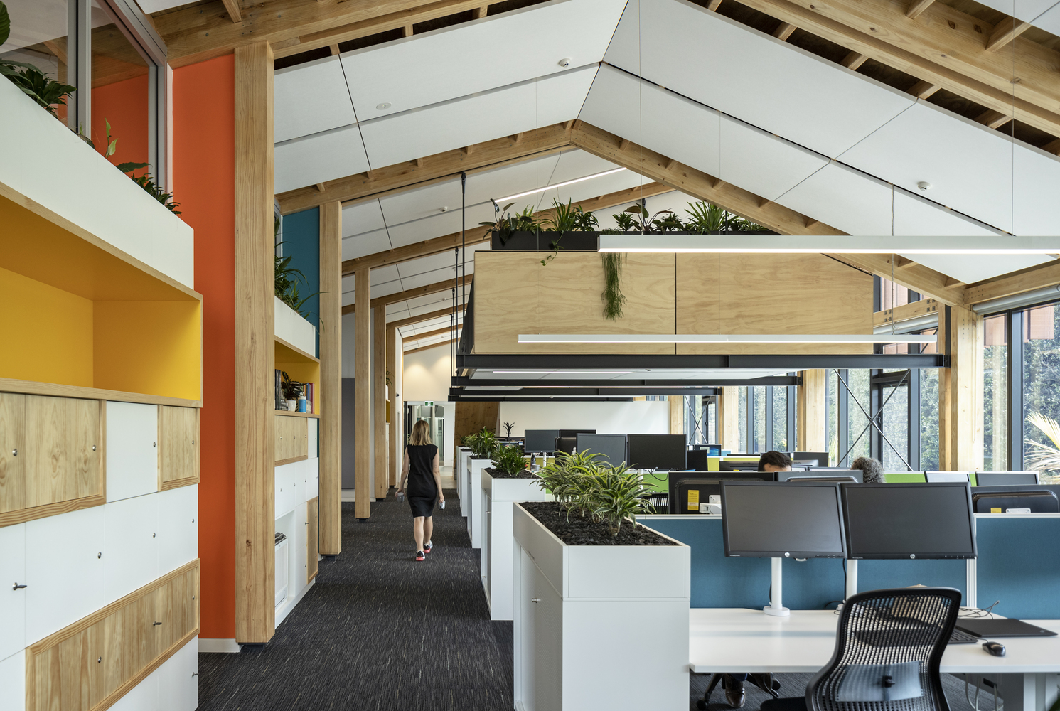 奥克兰动物园管理大楼的绿色办公空间丨新西兰奥克兰丨Ignite Architects-23