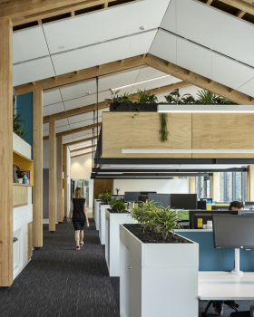 奥克兰动物园管理大楼的绿色办公空间丨新西兰奥克兰丨Ignite Architects
