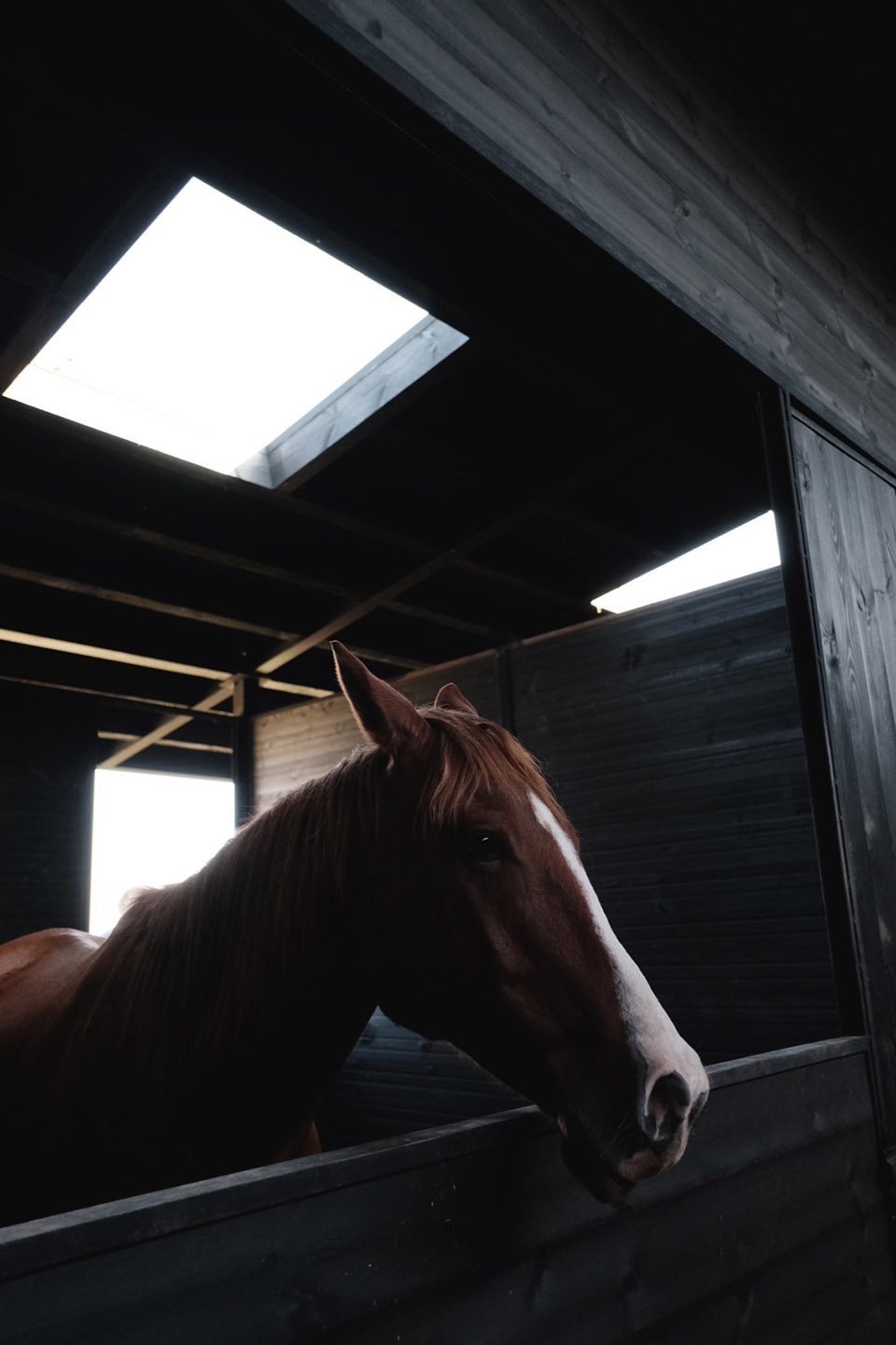 葡萄园马厩,格鲁吉亚丨Kera-43