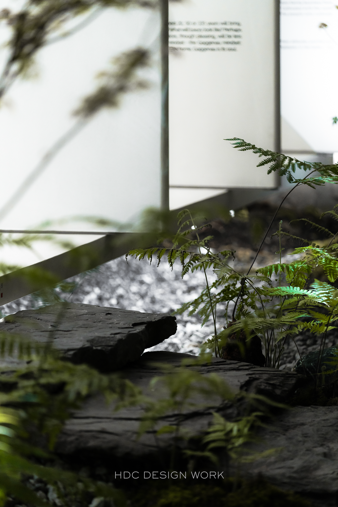 德国嘉格纳电器&NEXT125橱柜成都体验店丨中国成都丨刘芮言,唐嘉骏-13