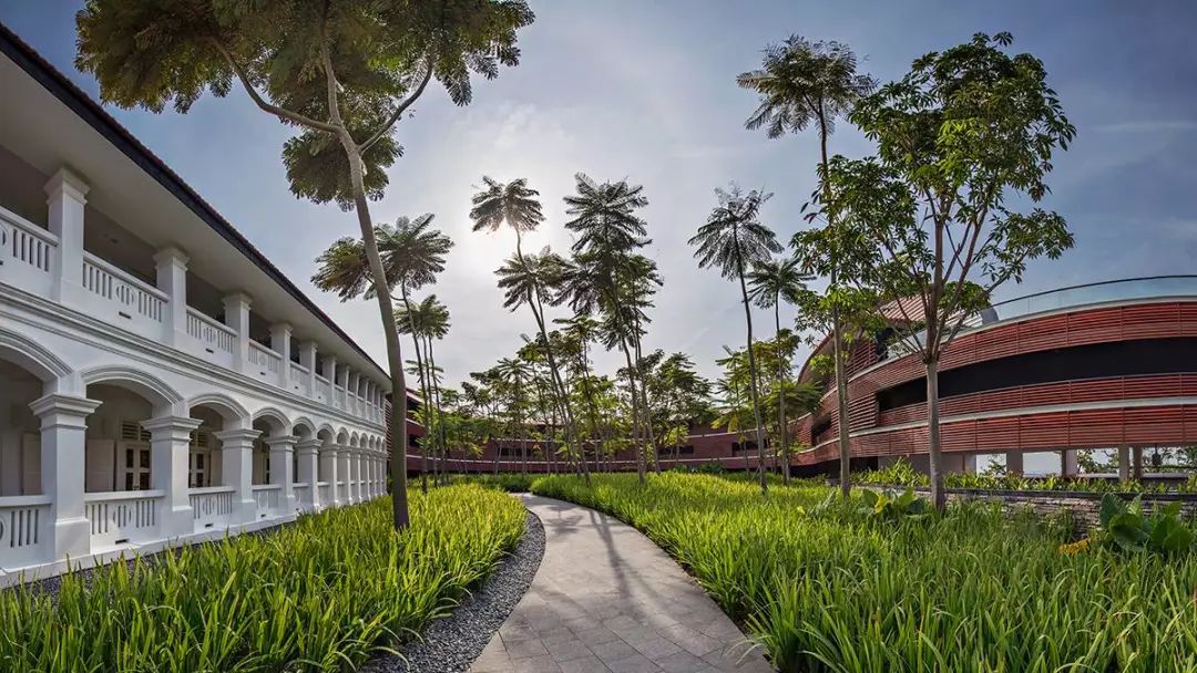 嘉佩乐酒店丨多个设计公司-129