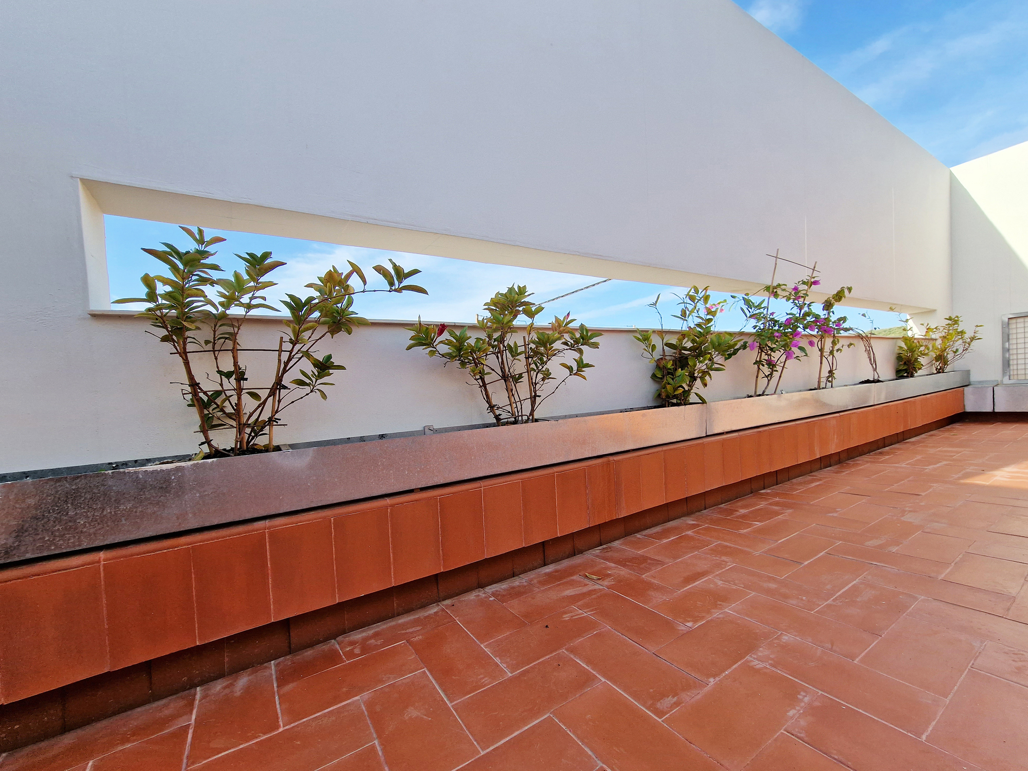 自由之家丨西班牙丨GRAO-22