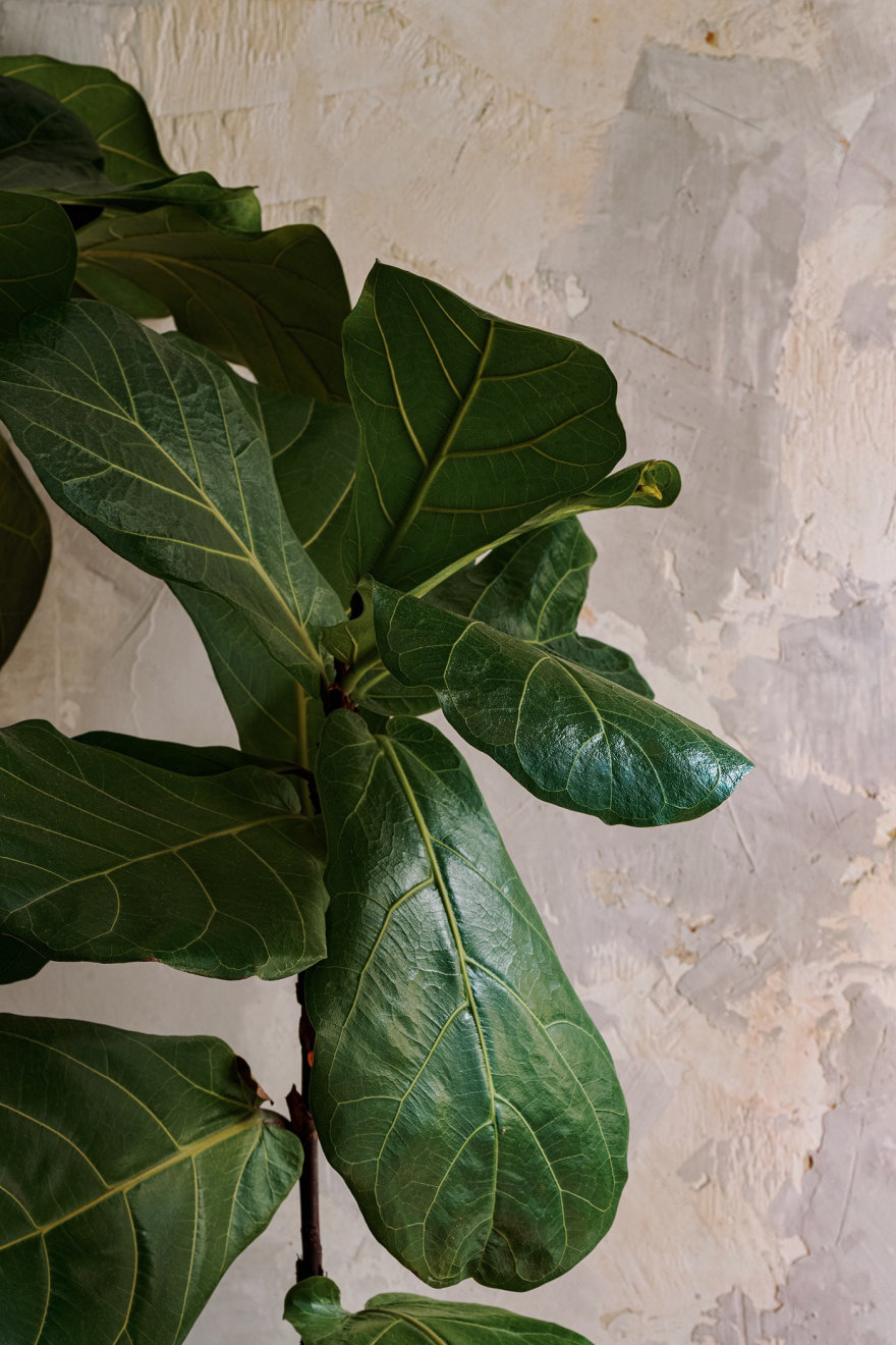 Firebird 餐厅 · 伦敦丨英国伦敦丨DA Bureau-18