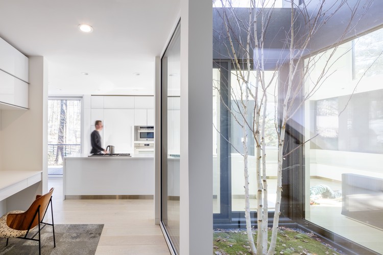 列克星敦的"生长盒子"-17