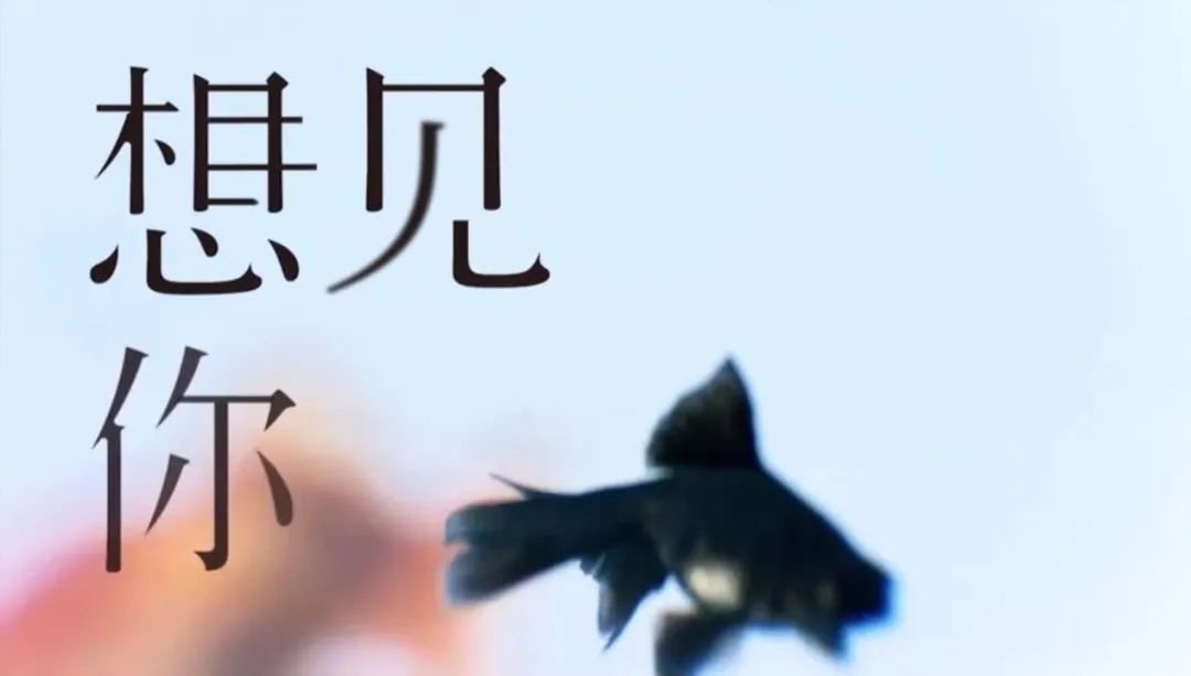 疫情下的致澜景观复工 | 有序复工,保障安全-1