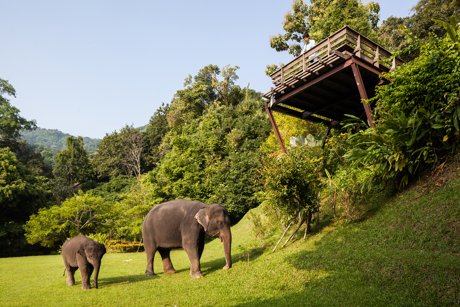 泰国 Hill Lodge 度假村-28