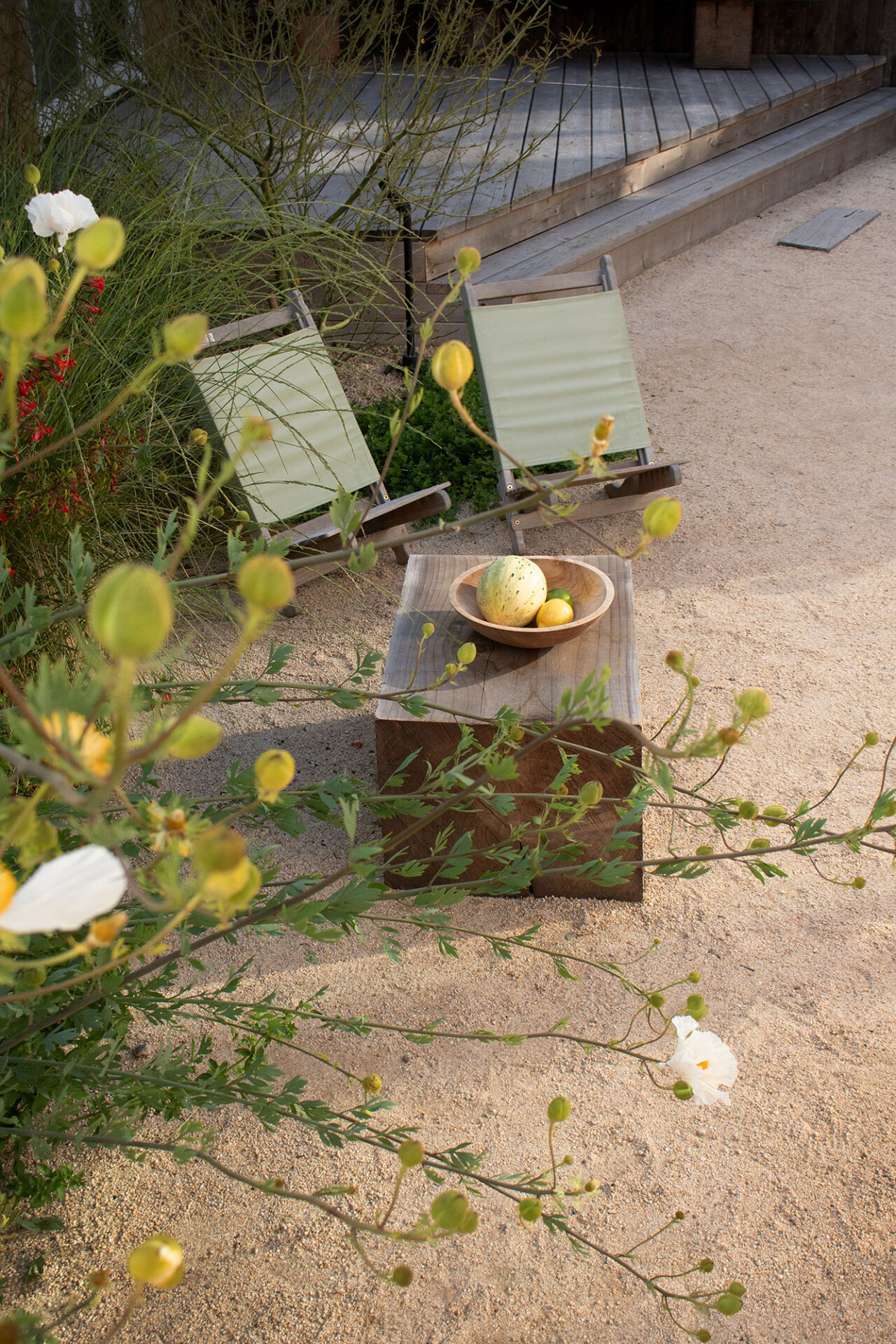 身边风景 | Soft Studio-51