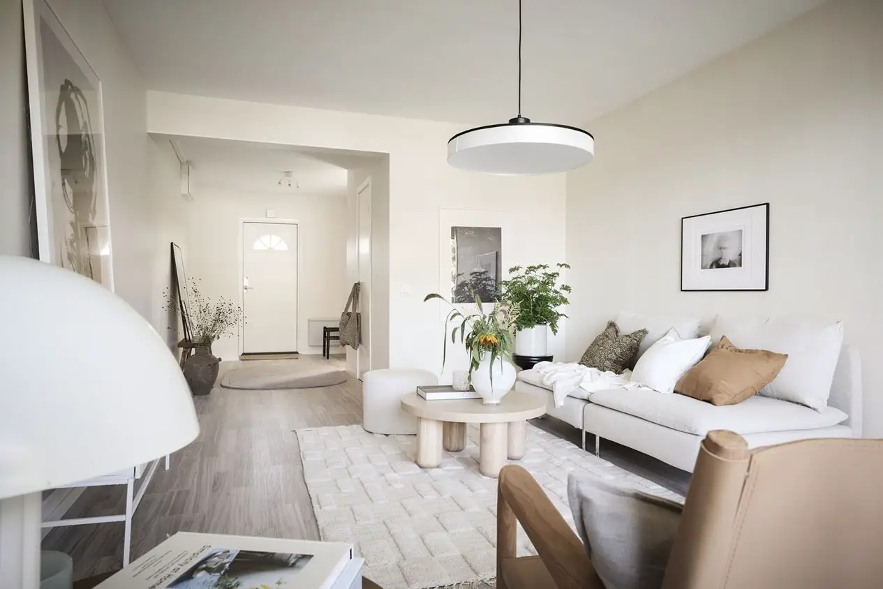 瑞典 63m2 一室公寓的极简之美-3