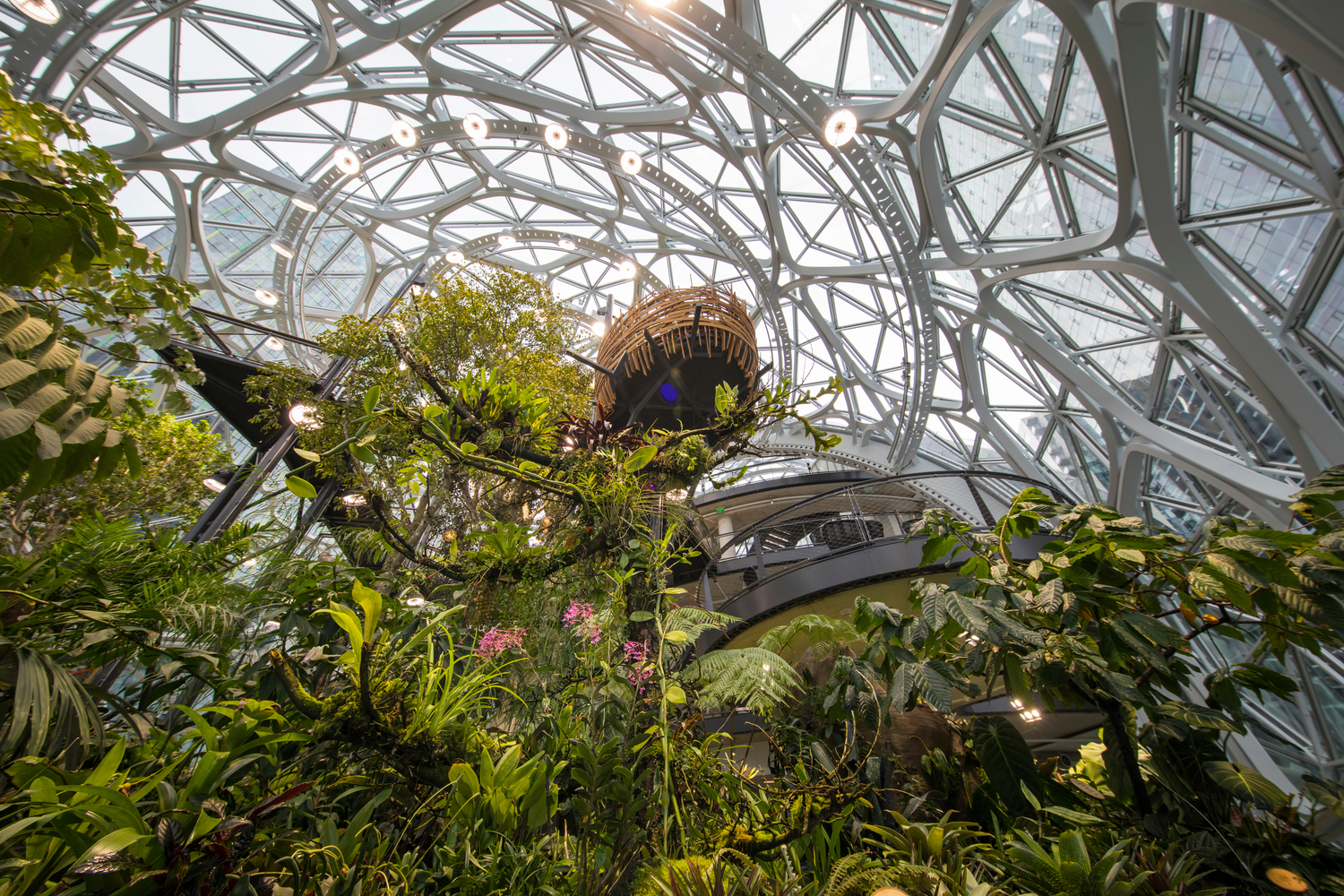 绿意盎然 Amazon Spheres 室内设计赏析-11